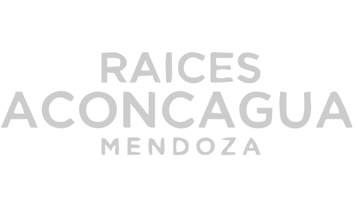 Hotel Raices Aconcagua
